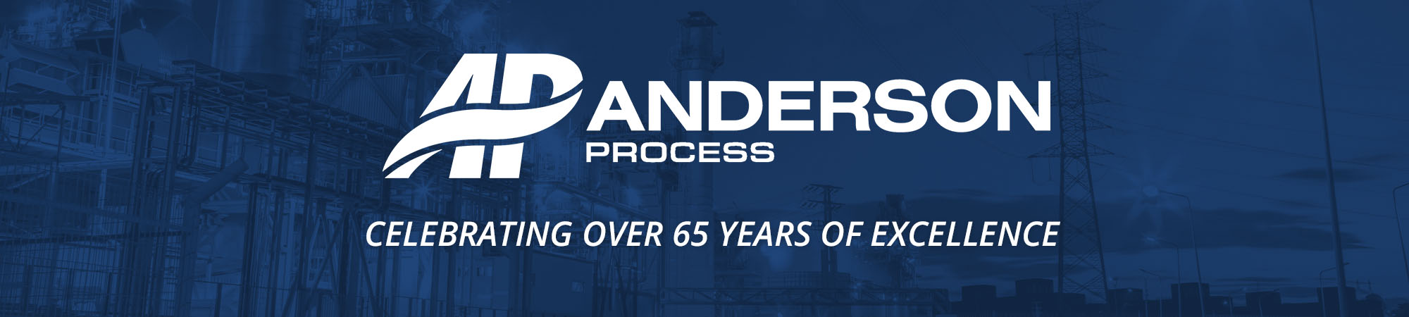 庆祝65年的卓越